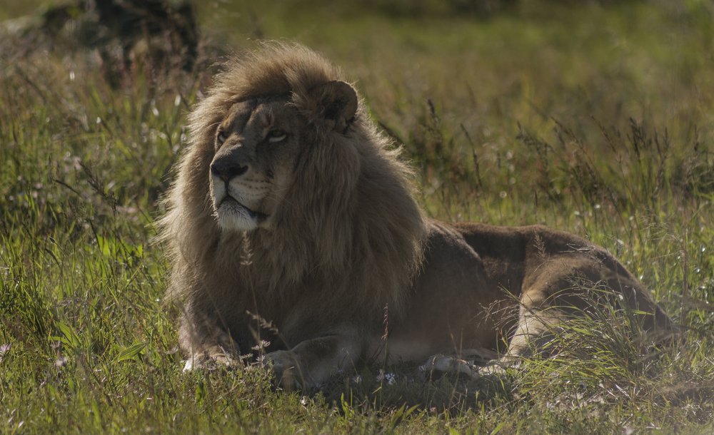 Photograph by Riga Mpwono