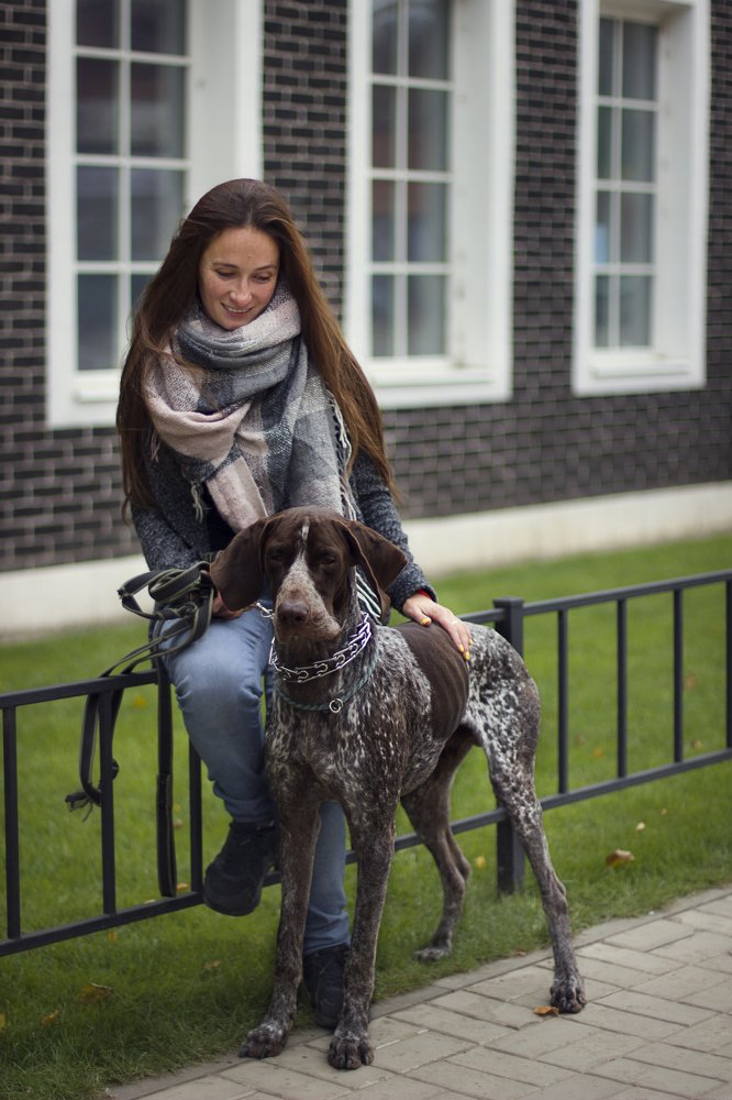 За каменной стеной