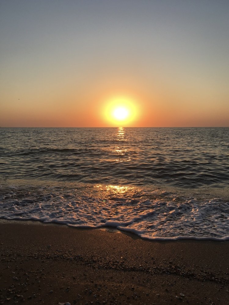 Photograph by Anna Krasova