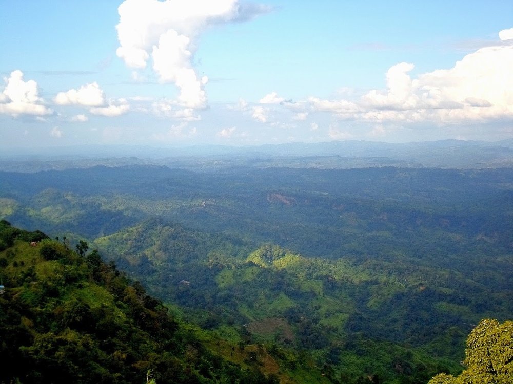 Фотография автора Shahed Zakir Opi