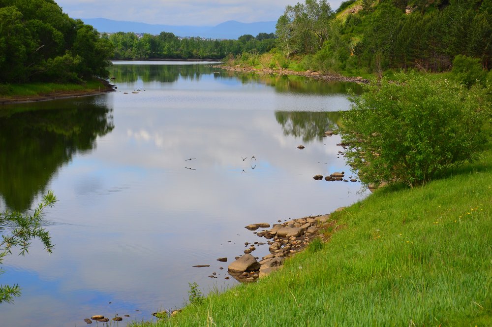 Photograph by Nadezhda