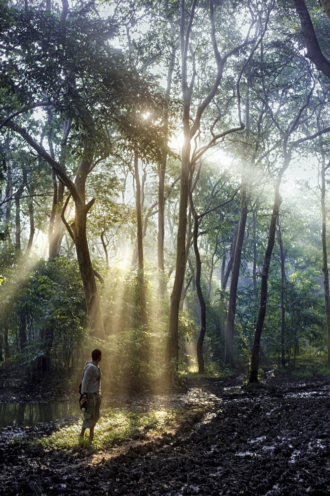 Photograph by Sourav Biswas