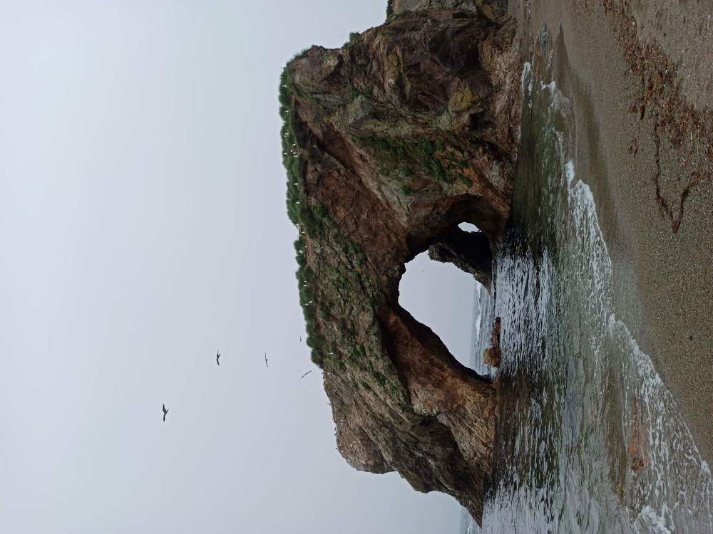 Photograph by Надежда Донская