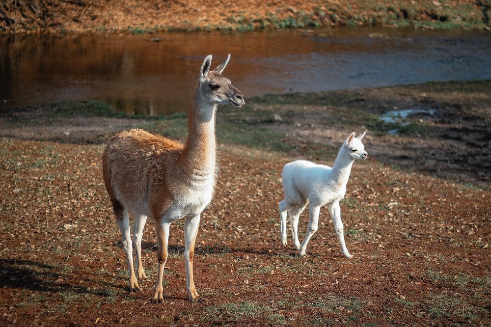 Photograph by Алена