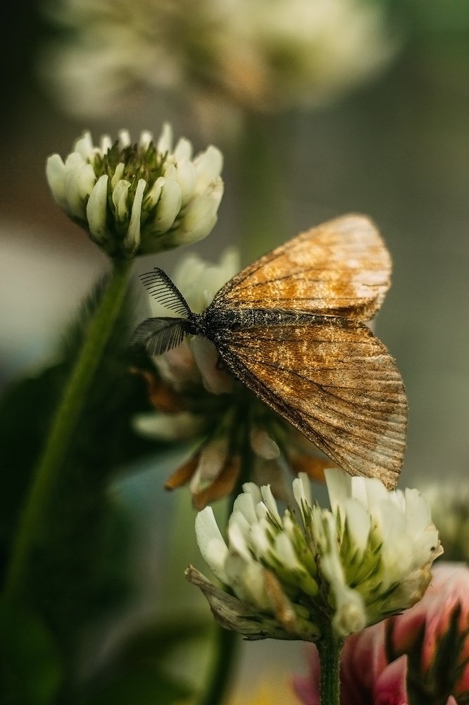 Photograph by Алена