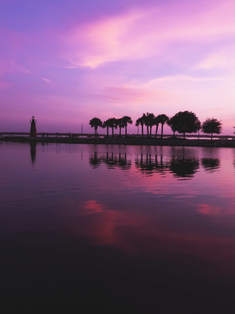 Purple Dream.