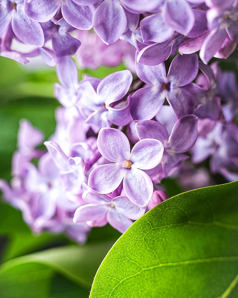 Photograph by Олеся Шульц