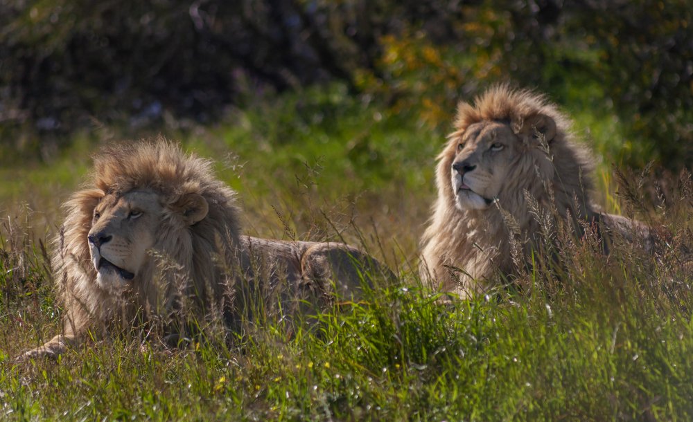 Photograph by Riga Mpwono