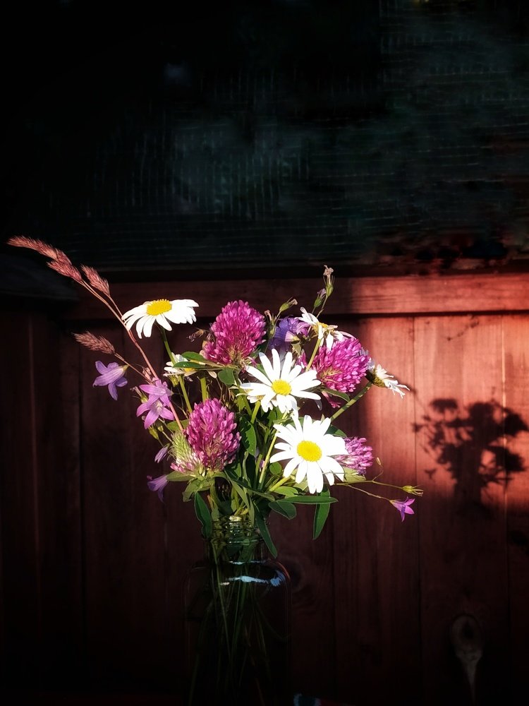 Игра света и теней