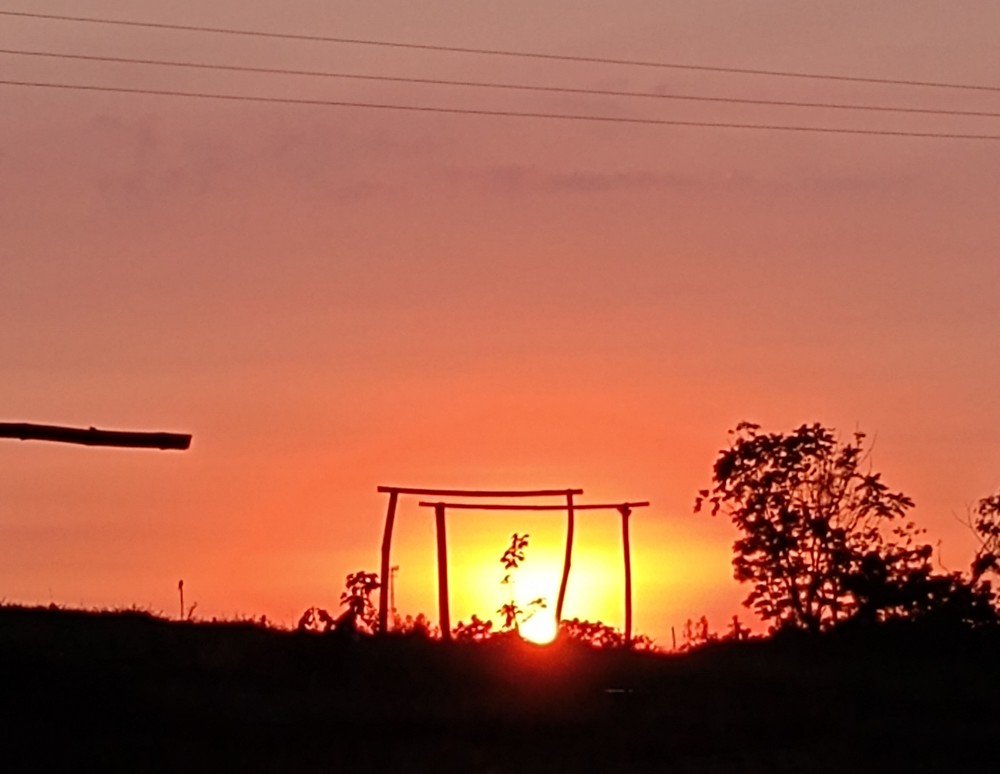 Photo #4743424