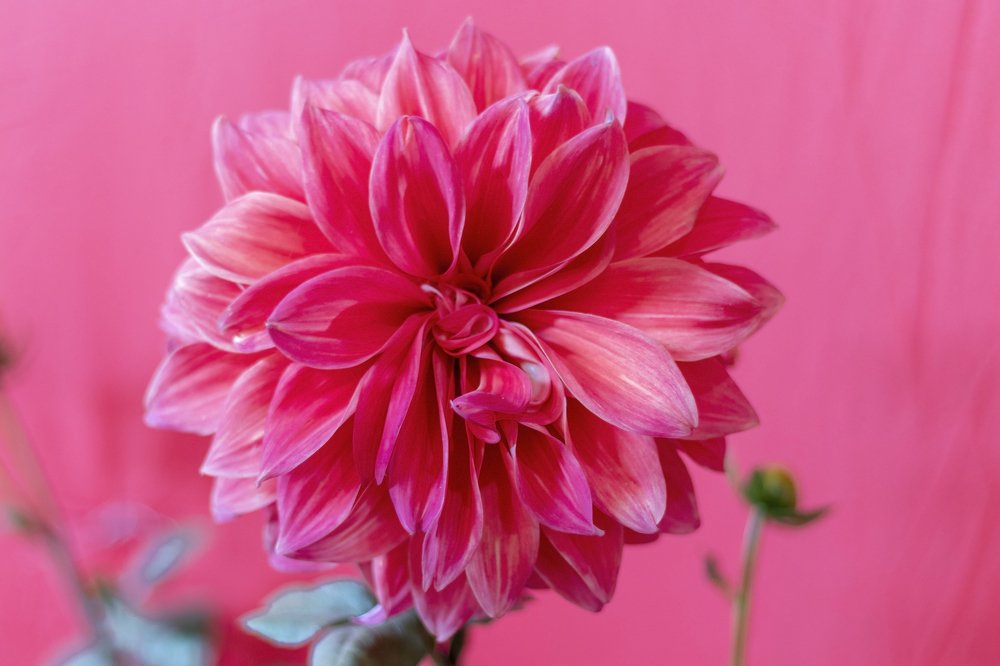 Photograph by Seshadri bhattacharya