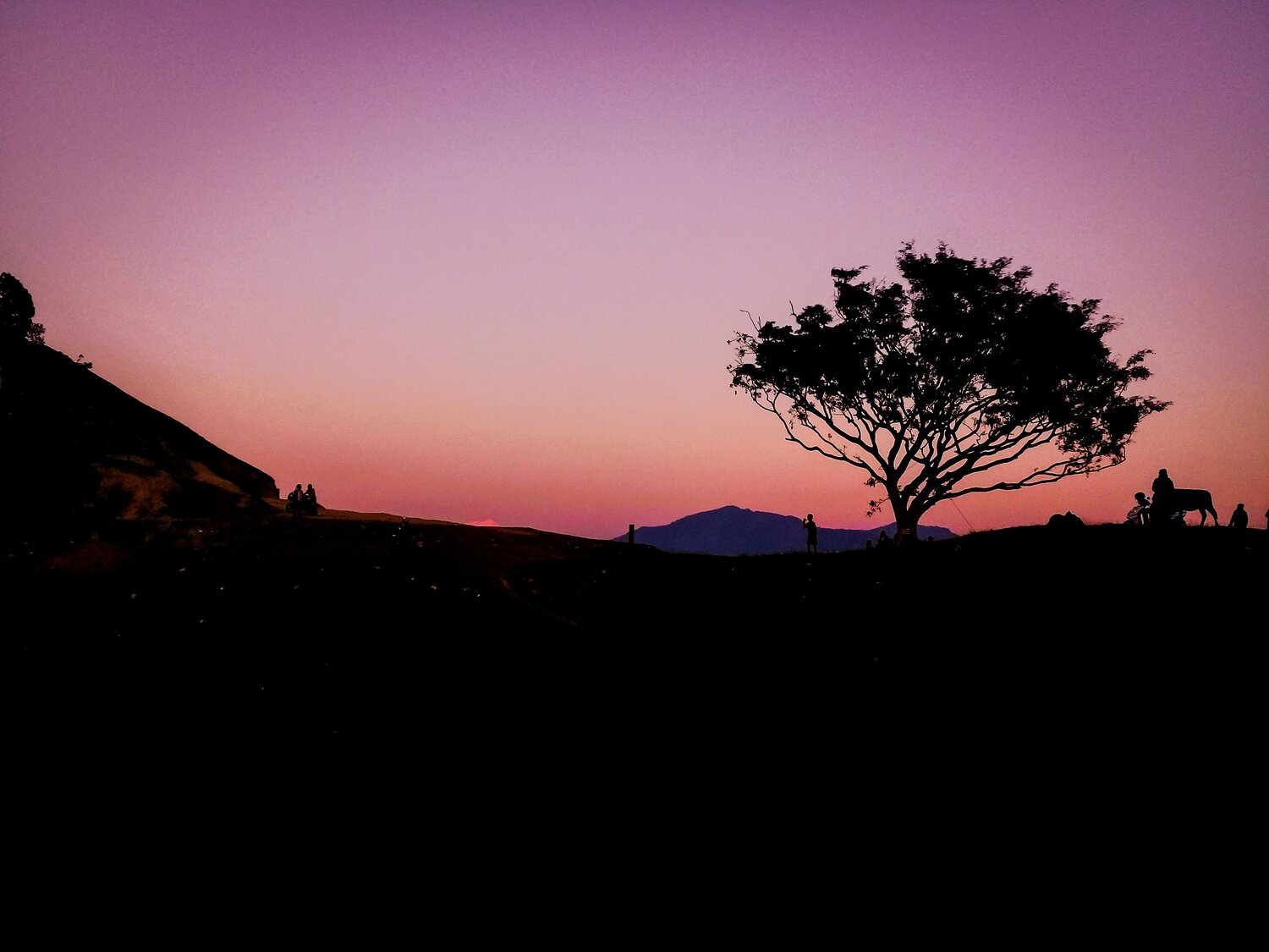 Photo #4743541