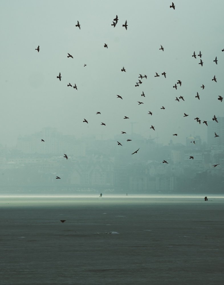 Photograph by Астрид Екатерина