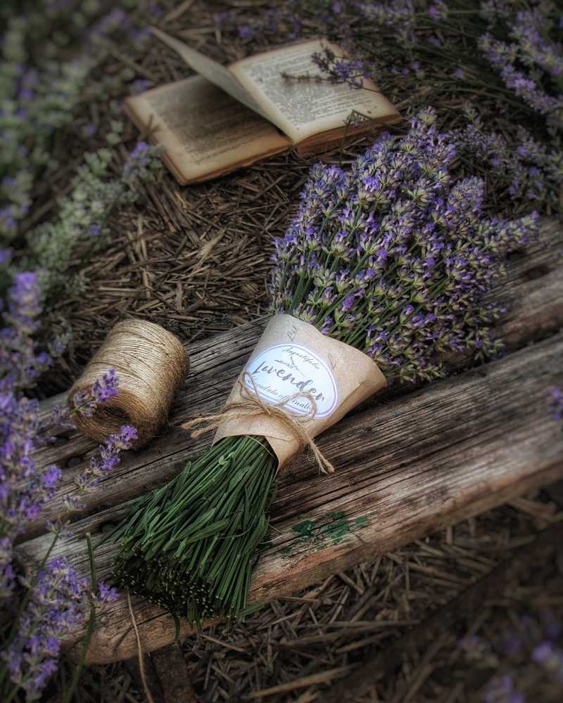 Photograph by Лілія Крижня