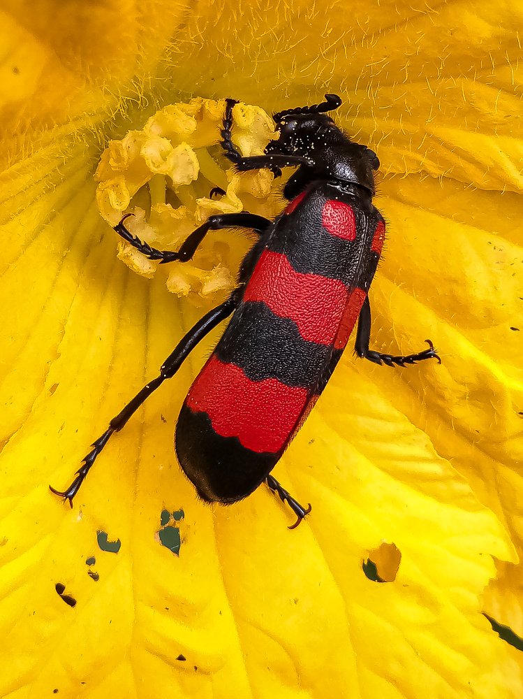 Photograph by Julie M