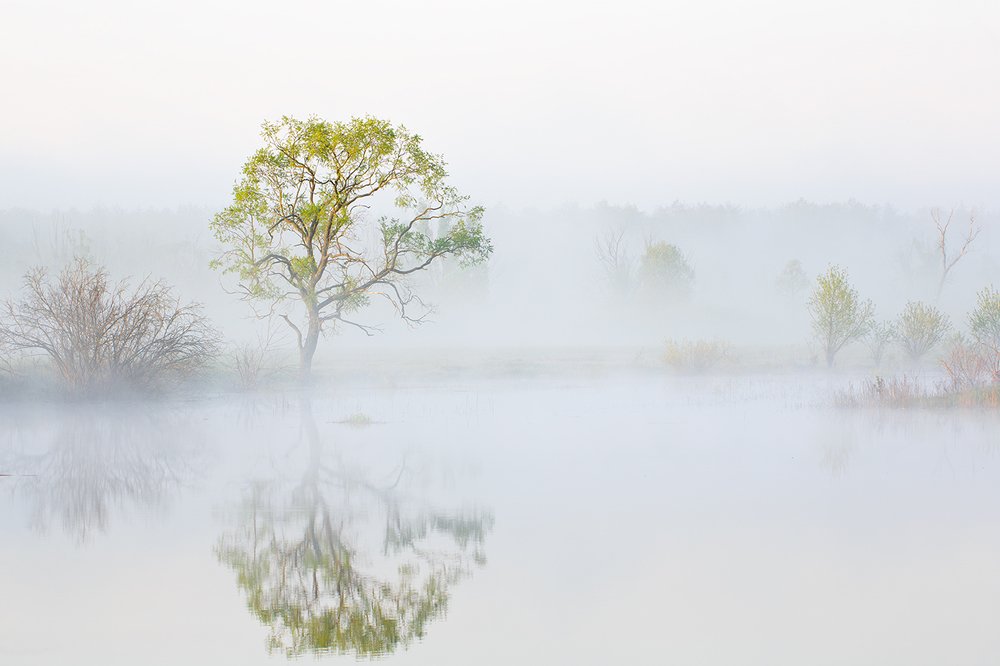 Photograph by Юрий Сорокин
