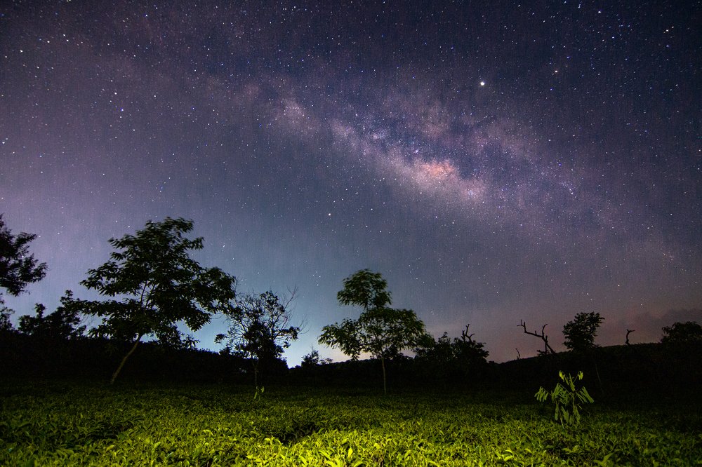 Photograph by Pinak Paul