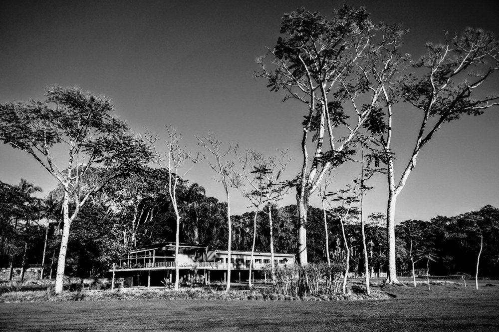 City Park Roberto Burle Marx