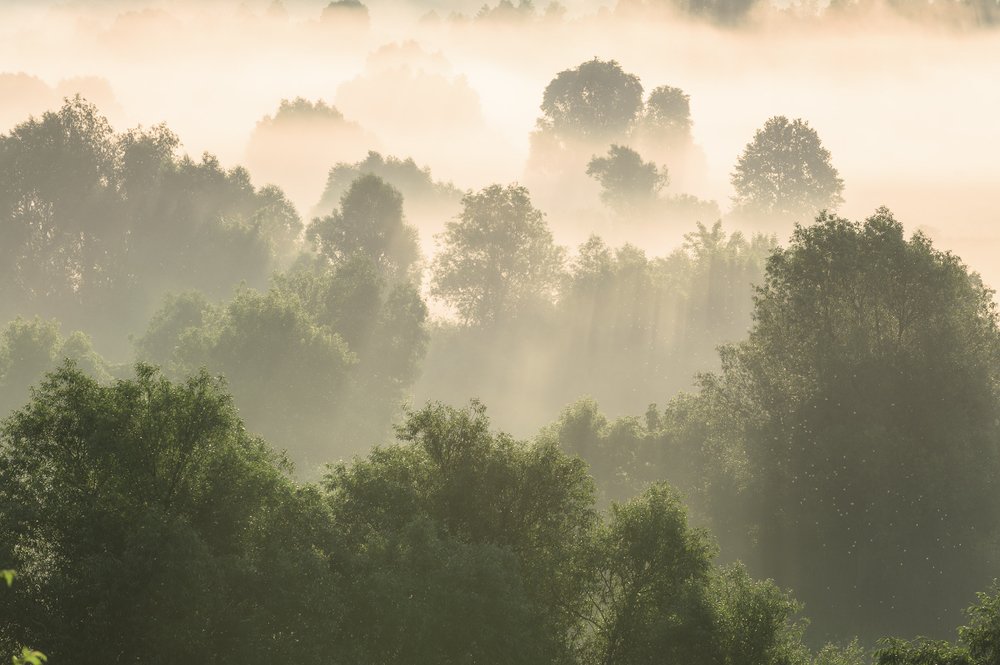 Photograph by Юлия Лаптева