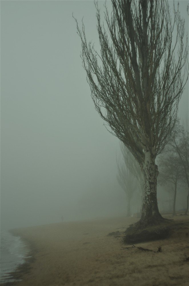 Photograph by OKSANA TARASENKO