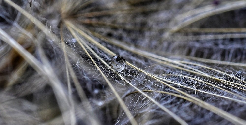 Photograph by Charis Christoforou