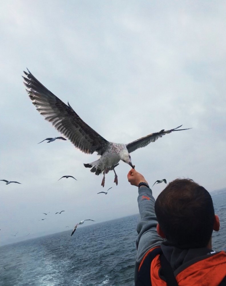 Photograph by Aya El alaoui