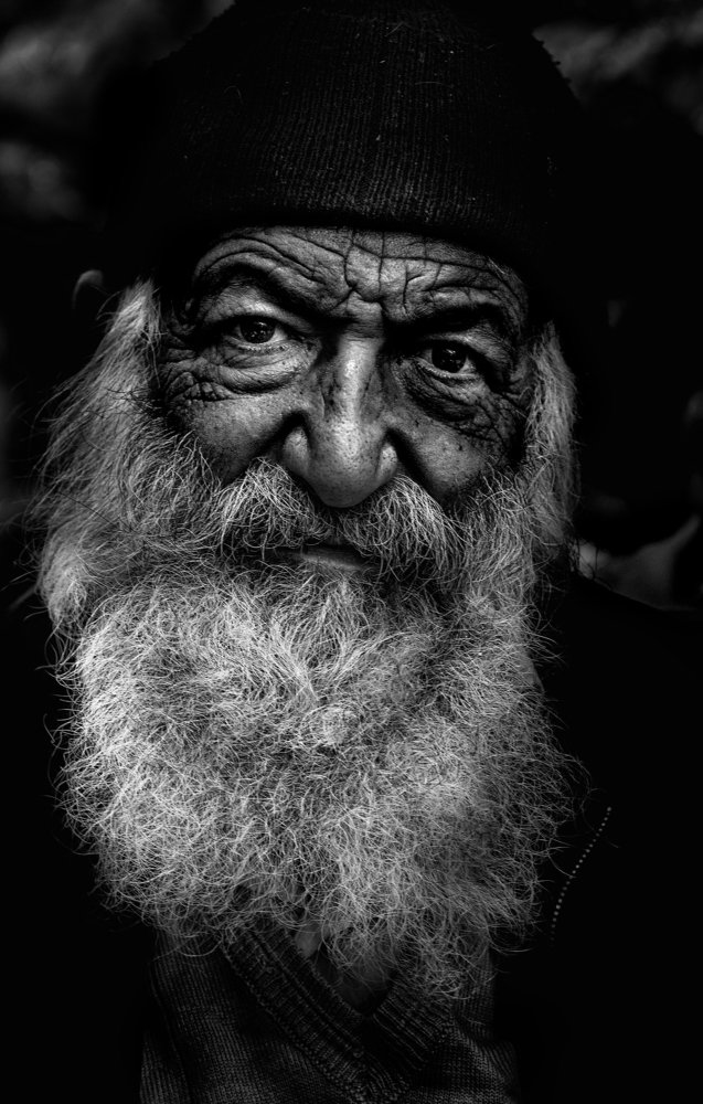 Photograph by seyed mohammad javad sadri