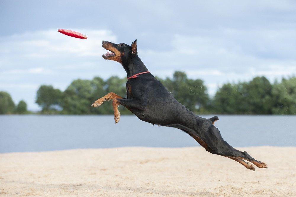 Photograph by Photo Lesnoe