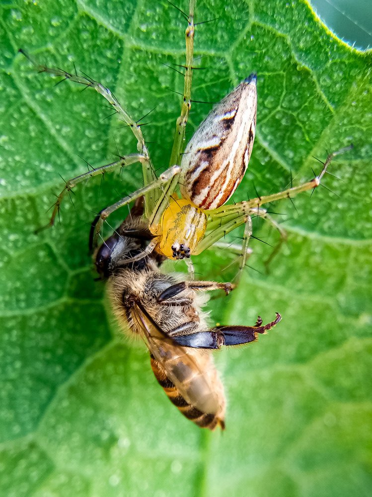 Photograph by Julie M