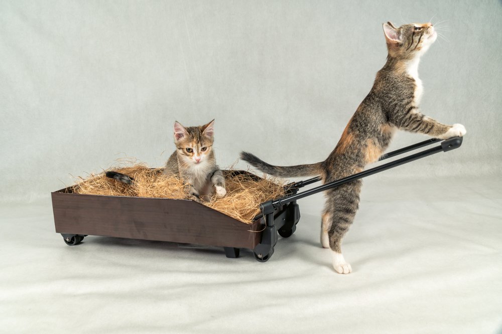 Photograph by Александр Колляков