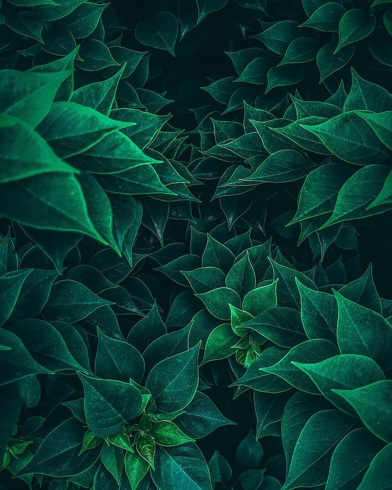 Фотография автора ben mauice Cañoso