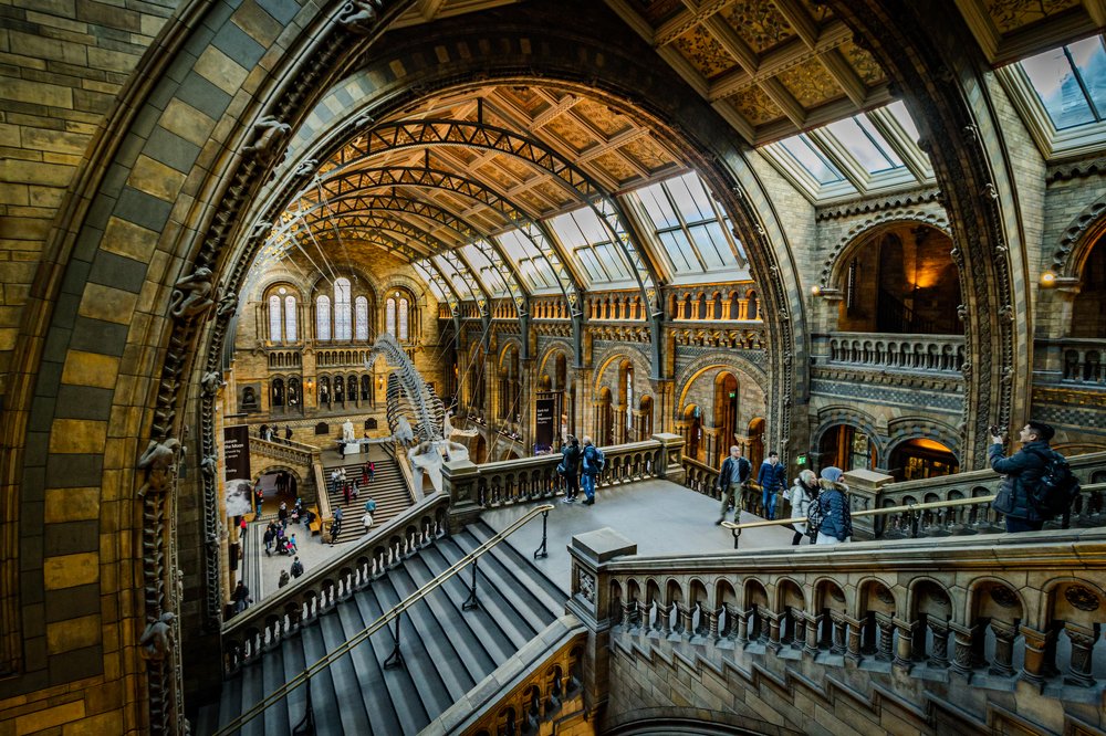 Photograph by Vinod Kumar Kulkarni