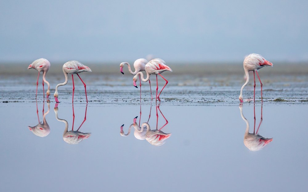 Photograph by Vinod Kumar Kulkarni