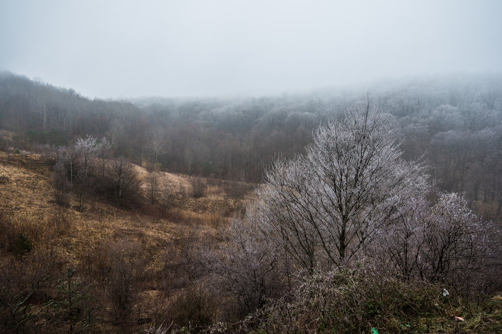 Photograph by Дмитрий Величко