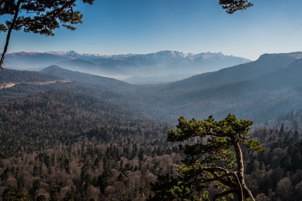 Photograph by Дмитрий Величко