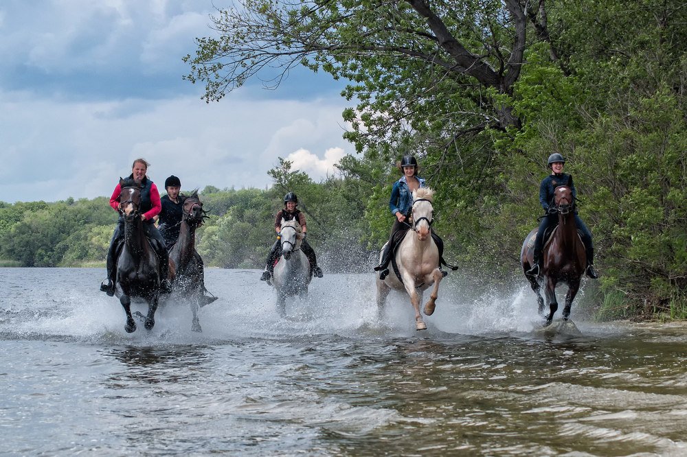 Аллюром по Днепру