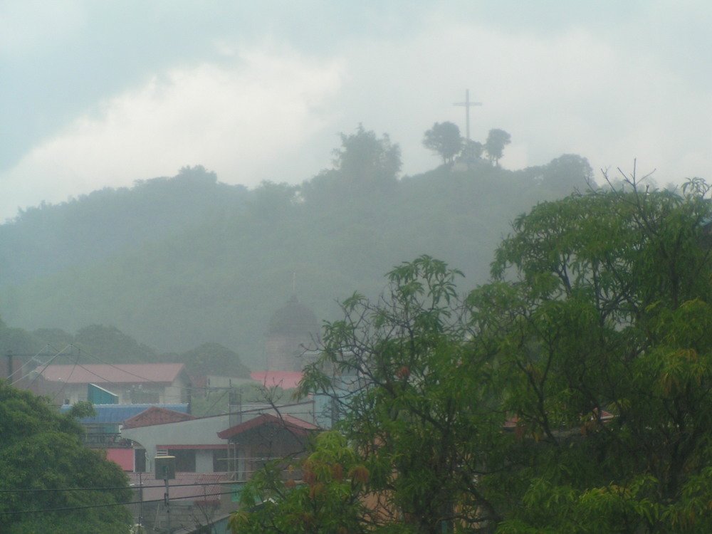 Photo #4744136
