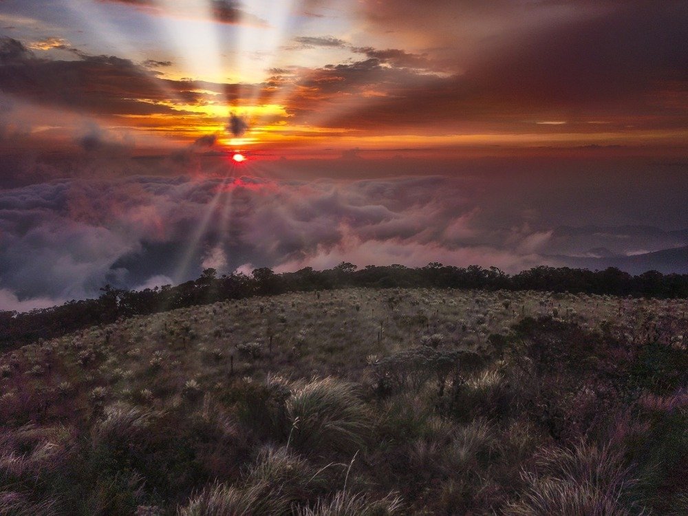 Photograph by Carlos Galeano