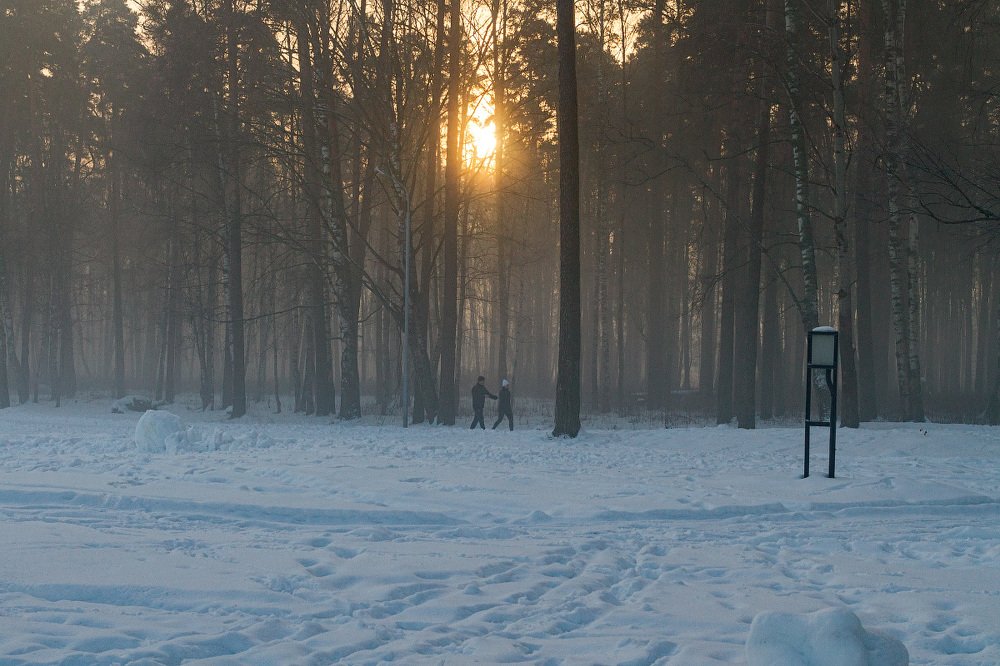 Photograph by Алексей Думин