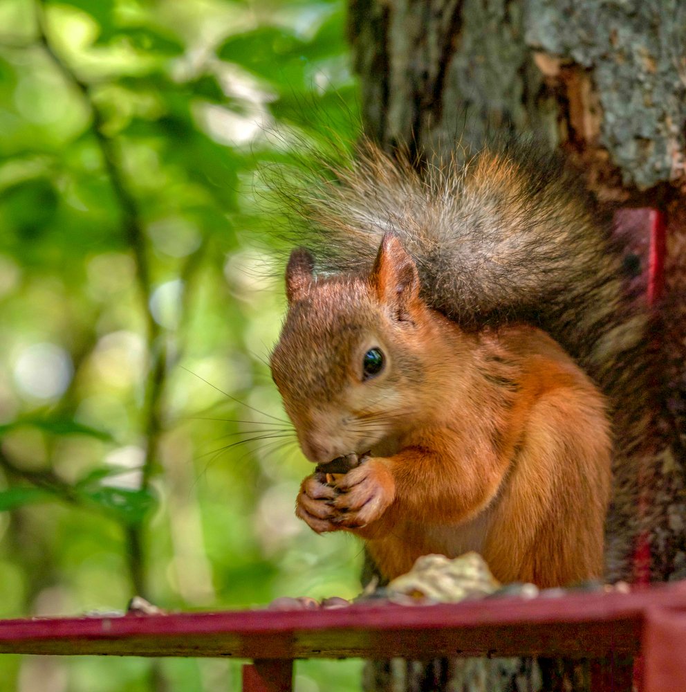 Photograph by Юрий Чернов