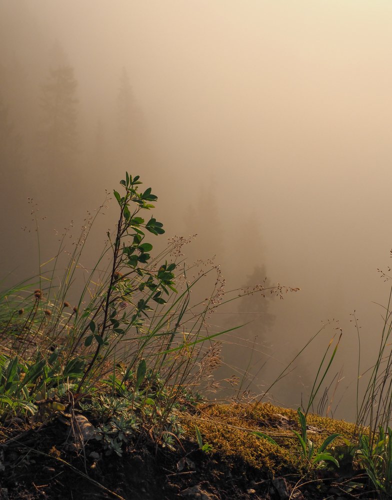 Photograph by Юрий Чернов