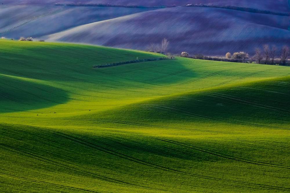 Photograph by Le van khanh