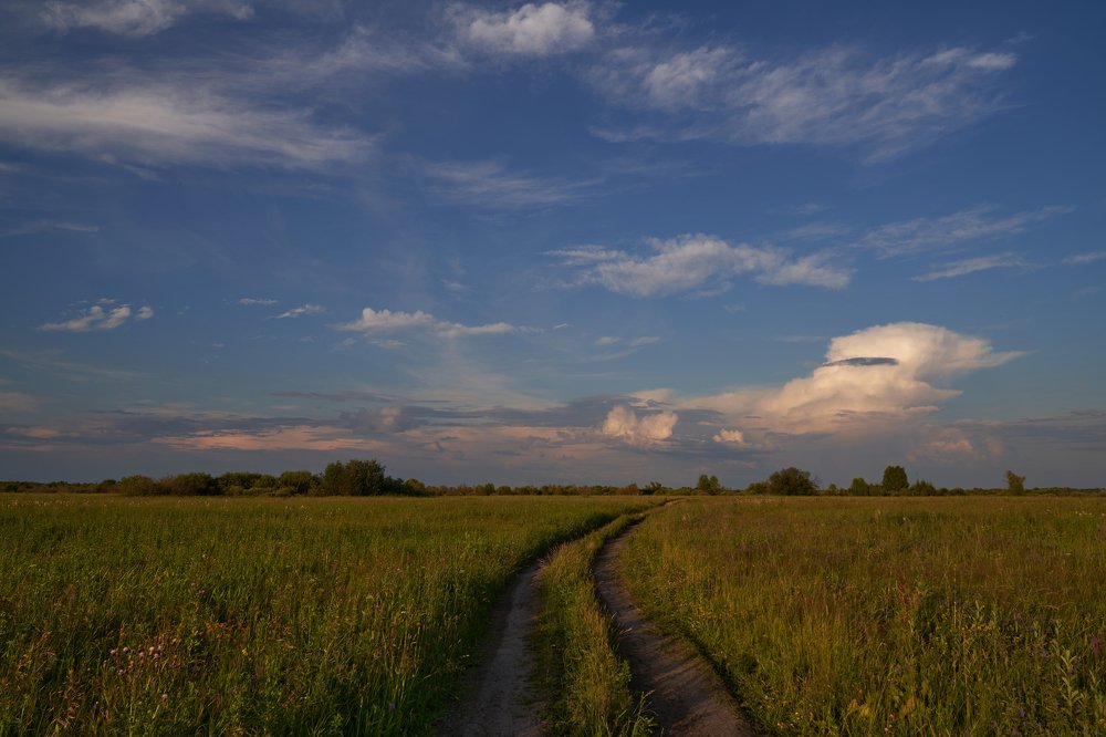 Photograph by Андрей Колеватов