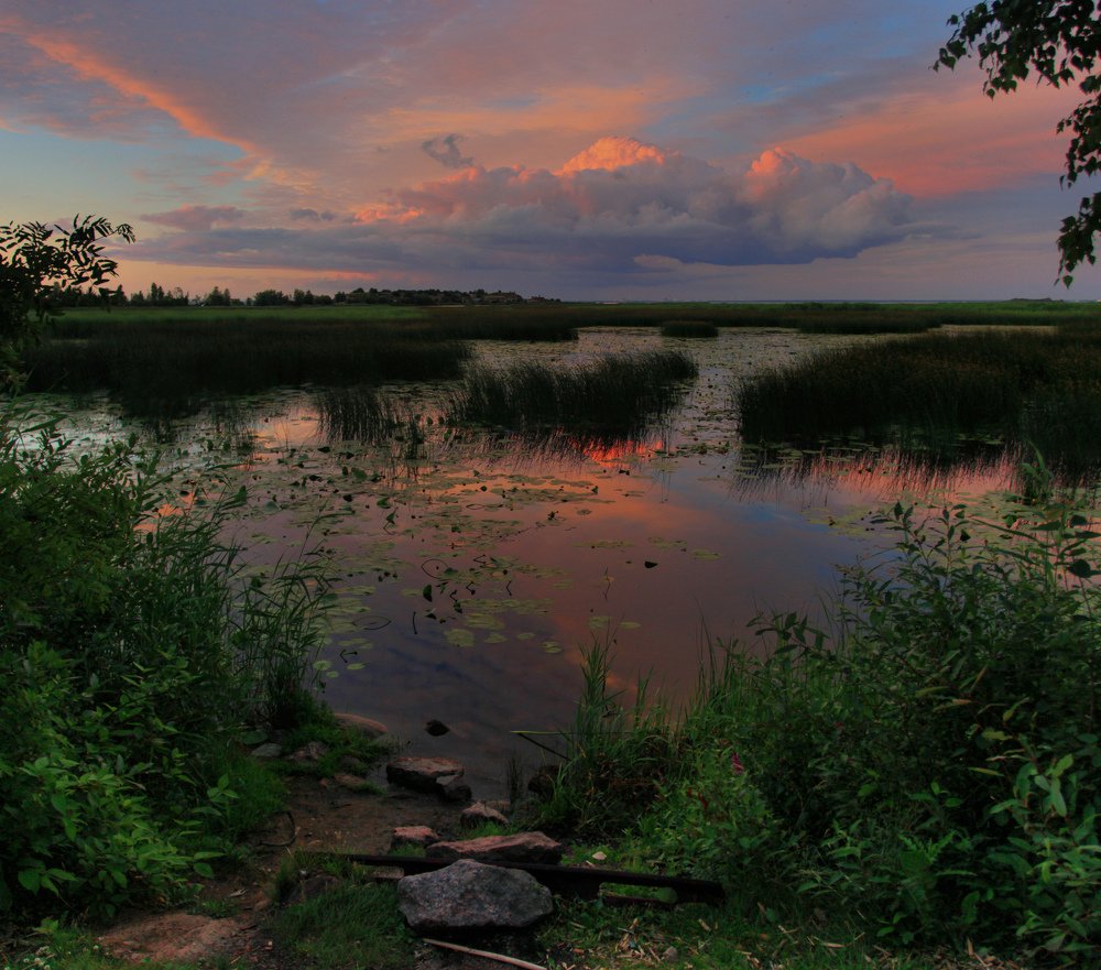 Photograph by 