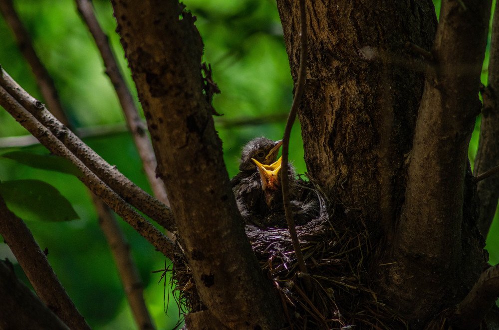 Photograph by Ксения Корсакова