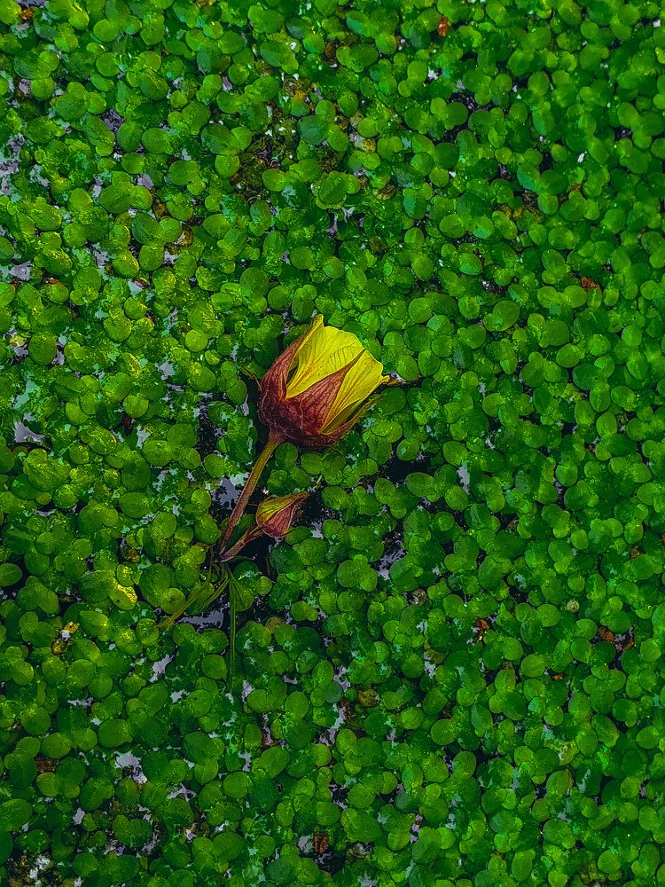 Photograph by Ксения Корсакова