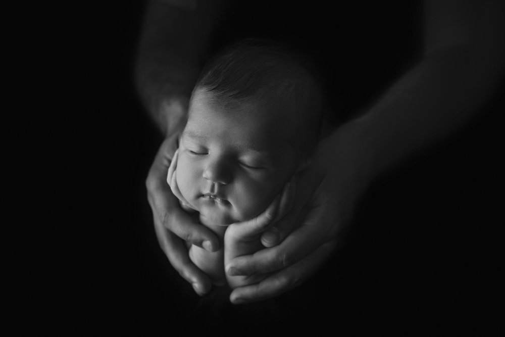 Фотография автора heidi Breugelmans