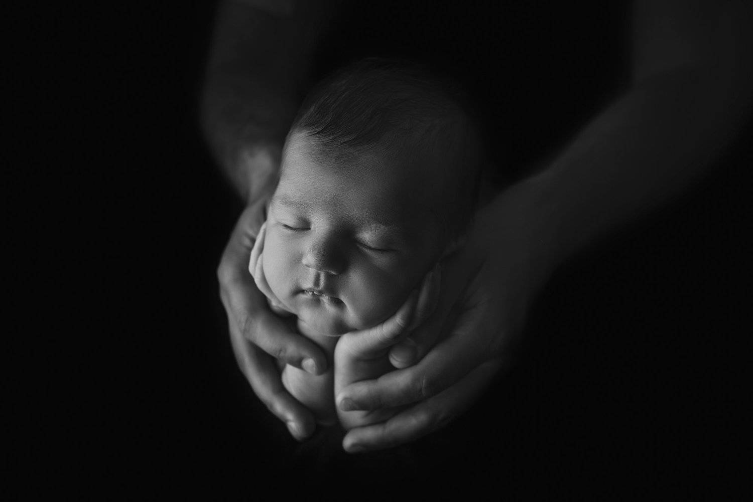 Фотография #4744547