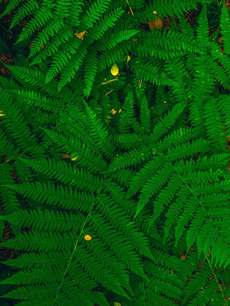 Photograph by Ксения Корсакова