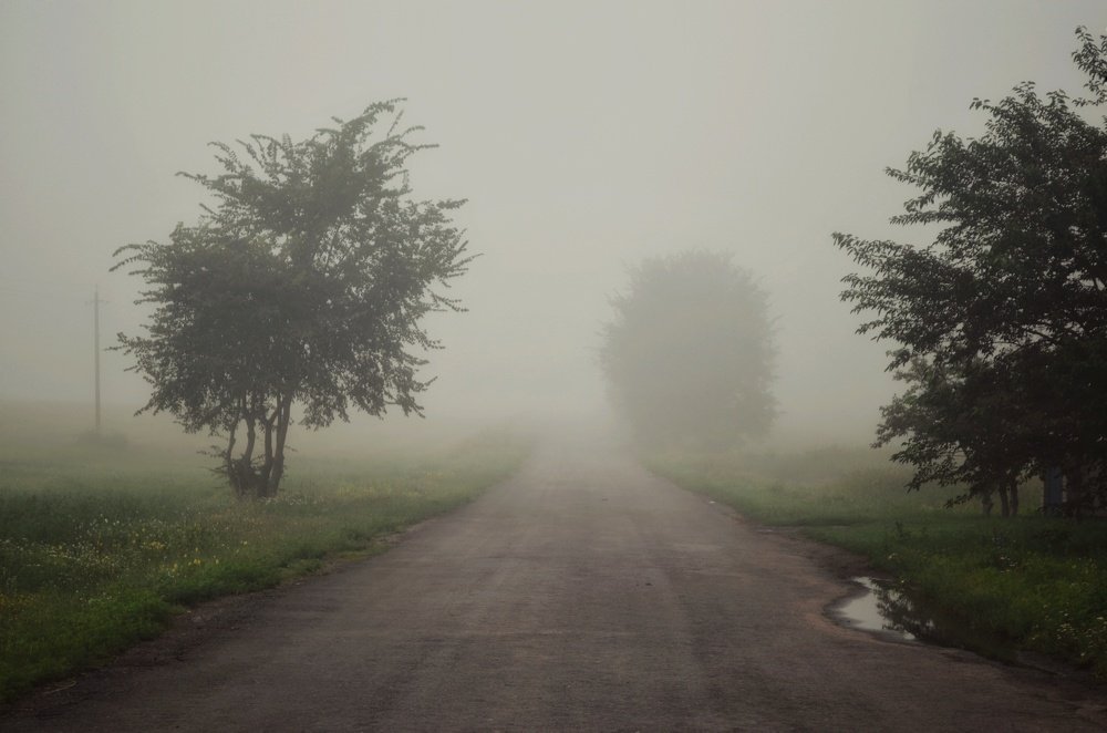 Photograph by Владислава Сімонова
